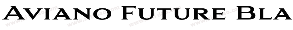 Aviano Future Black Regular字体转换